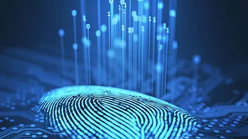 Biometrics fingerprint