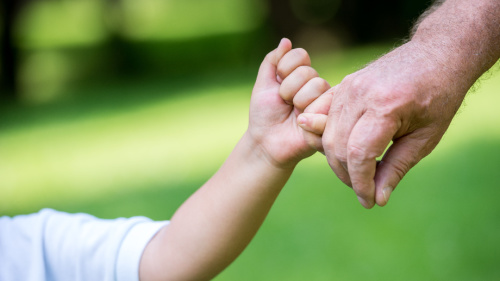 Grandfather walking in the park with grandson holding grandson's hand