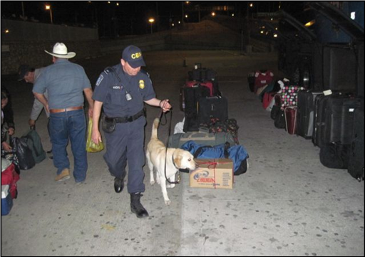 Drug Dog Sniffing boxes